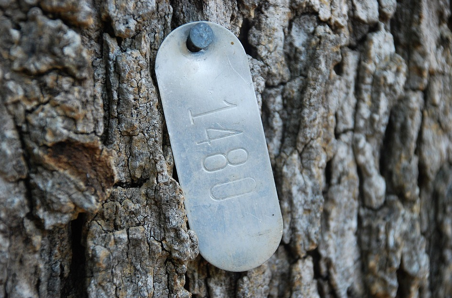 The Advantages of Metal Tags for Companies